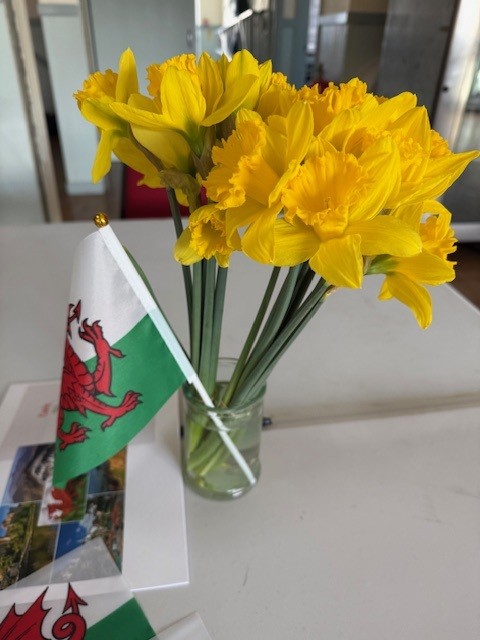 St David’s Day Celebrations